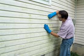 Best Siding Painting and Refinishing  in Alturas, FL